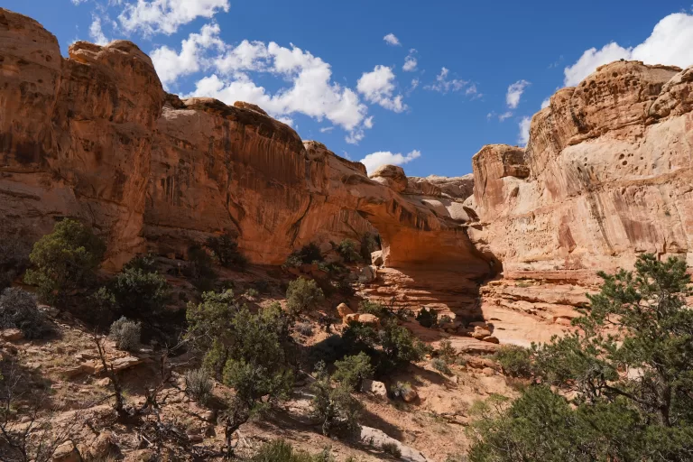 How to Spend One Day in Capitol Reef National Park